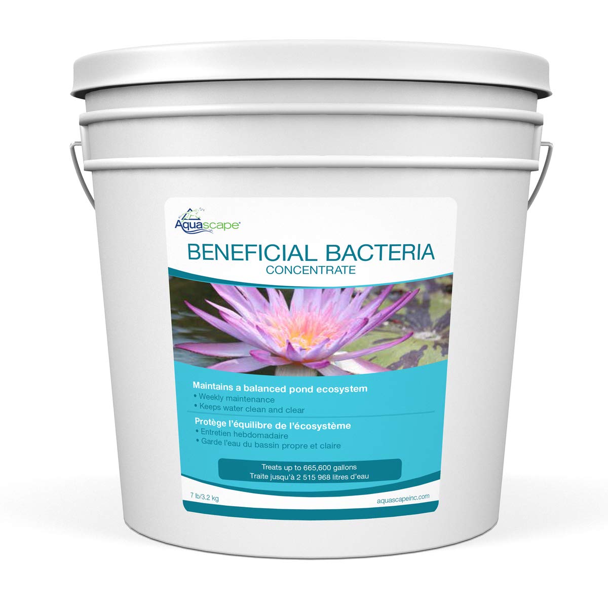Aquascape Beneficial Bacteria Concentrate for Pond and Water Features, 1.1-Pound, 98949