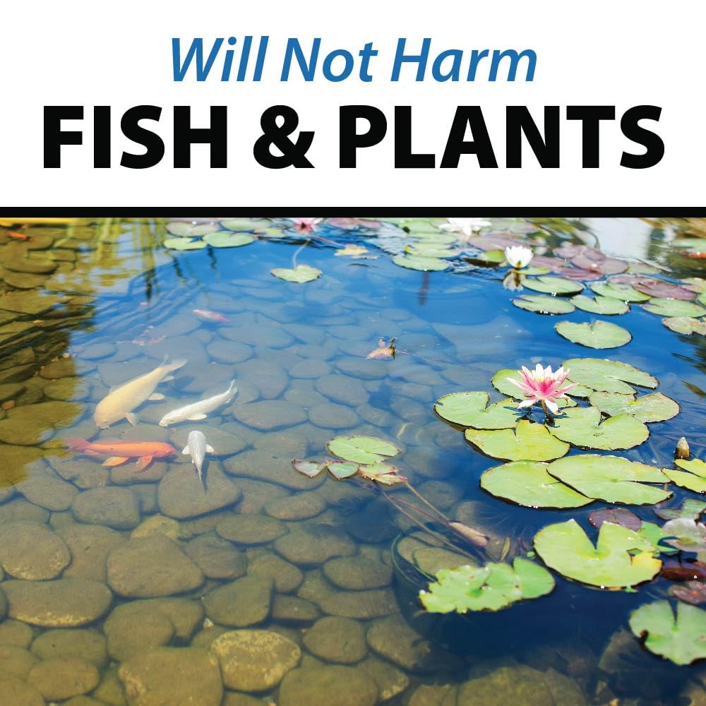 CrystalClear PondShock Ball, Natural Enzymes & Live Bacteria, Freshwater Clarifier Shock Treatment, Muck & Sludge Remover for Small Pond & Outdoor Water Garden Ponds, Koi Fish & Aquatic Plants Safe