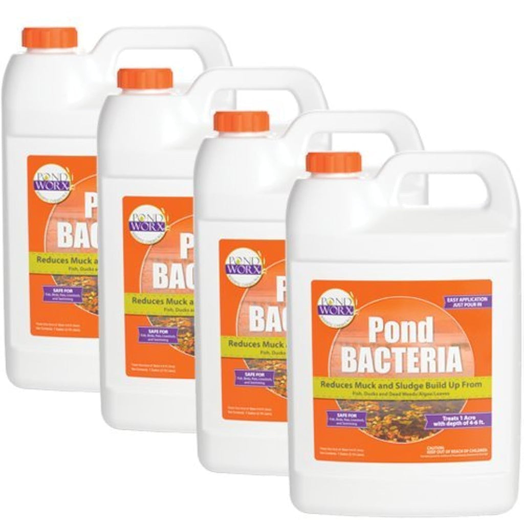 PondWorx Pond Bacteria - Formulated for Large Ponds, Water Features and Safe for Koi - Gallon