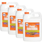 PondWorx Pond Bacteria - Formulated for Large Ponds, Water Features and Safe for Koi - Gallon