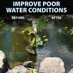 CrystalClear PondShock Ball, Natural Enzymes & Live Bacteria, Freshwater Clarifier Shock Treatment, Muck & Sludge Remover for Small Pond & Outdoor Water Garden Ponds, Koi Fish & Aquatic Plants Safe