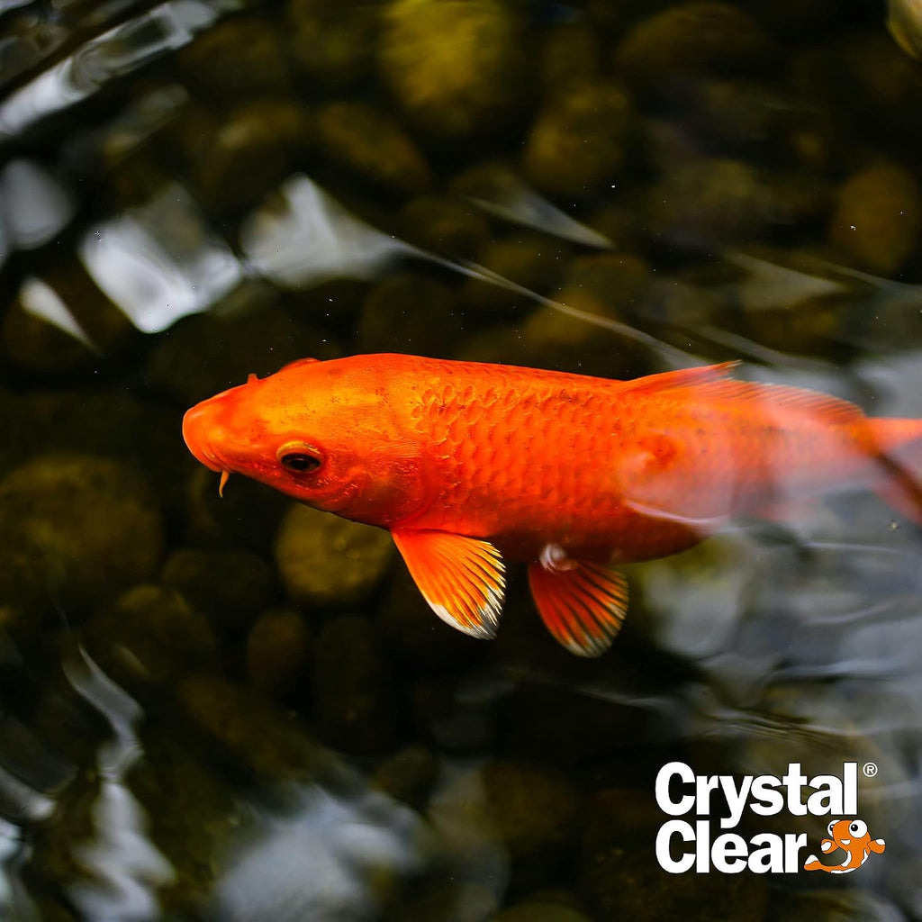 CrystalClear Algae D-Solv Pond Algae Control, Fast-Acting EPA Registered Algaecide, Use in Fountains & Outdoor Ponds Containing Koi & Other Fish, Treats 5,760 Gallons, 16 Ounces