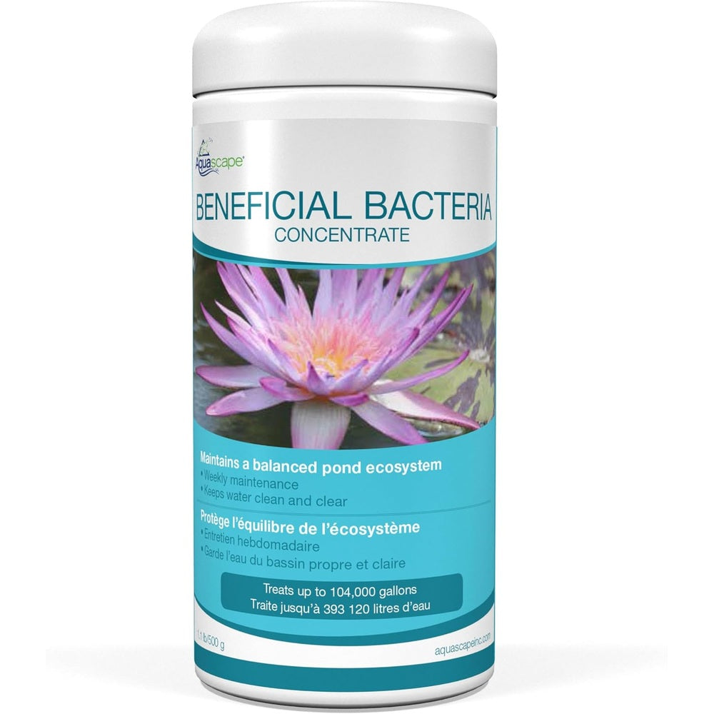 Aquascape Beneficial Bacteria Concentrate for Pond and Water Features, 1.1-Pound, 98949