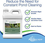 Aquascape Algaecide for Pond, Waterfall, and Water Features, 32-Ounce, 96024