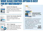 Aquashade Blue Pond Dye - 1 Gallon EPA-Approved Sunlight Blocker for Algae - Weed Suppression - Safe for Fish, Livestock and Swimming - Eco-Friendly Liquid Treatment for Water
