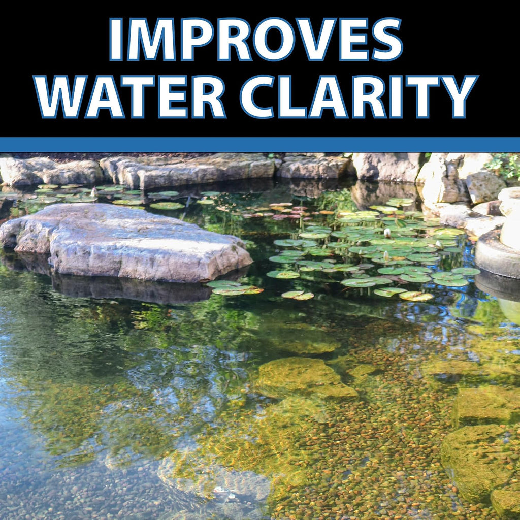 CrystalClear Barley Extract Pond Treatment – Natural Water Clarifier for Fountains, Water Gardens & Koi Ponds, Clears Cloudiness, Fish & Plant Safe, 16 Ounces