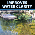 CrystalClear Barley Extract Pond Treatment – Natural Water Clarifier for Fountains, Water Gardens & Koi Ponds, Clears Cloudiness, Fish & Plant Safe, 16 Ounces