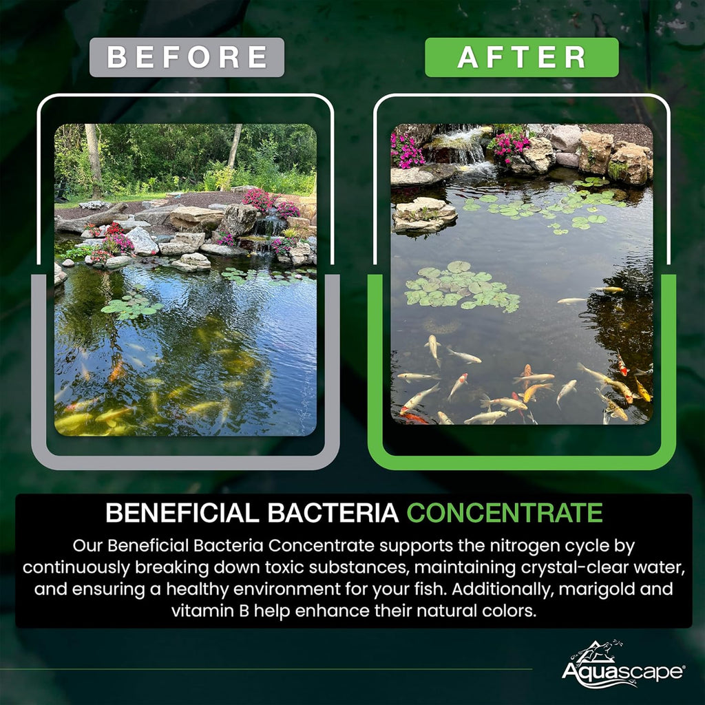 Aquascape Beneficial Bacteria Concentrate for Pond and Water Features, 1.1-Pound, 98949