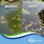 Aquascape Algaecide for Pond, Waterfall, and Water Features, 32-Ounce, 96024