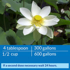 API POND ACCU-CLEAR Pond Water Clarifier 32-Ounce Bottle