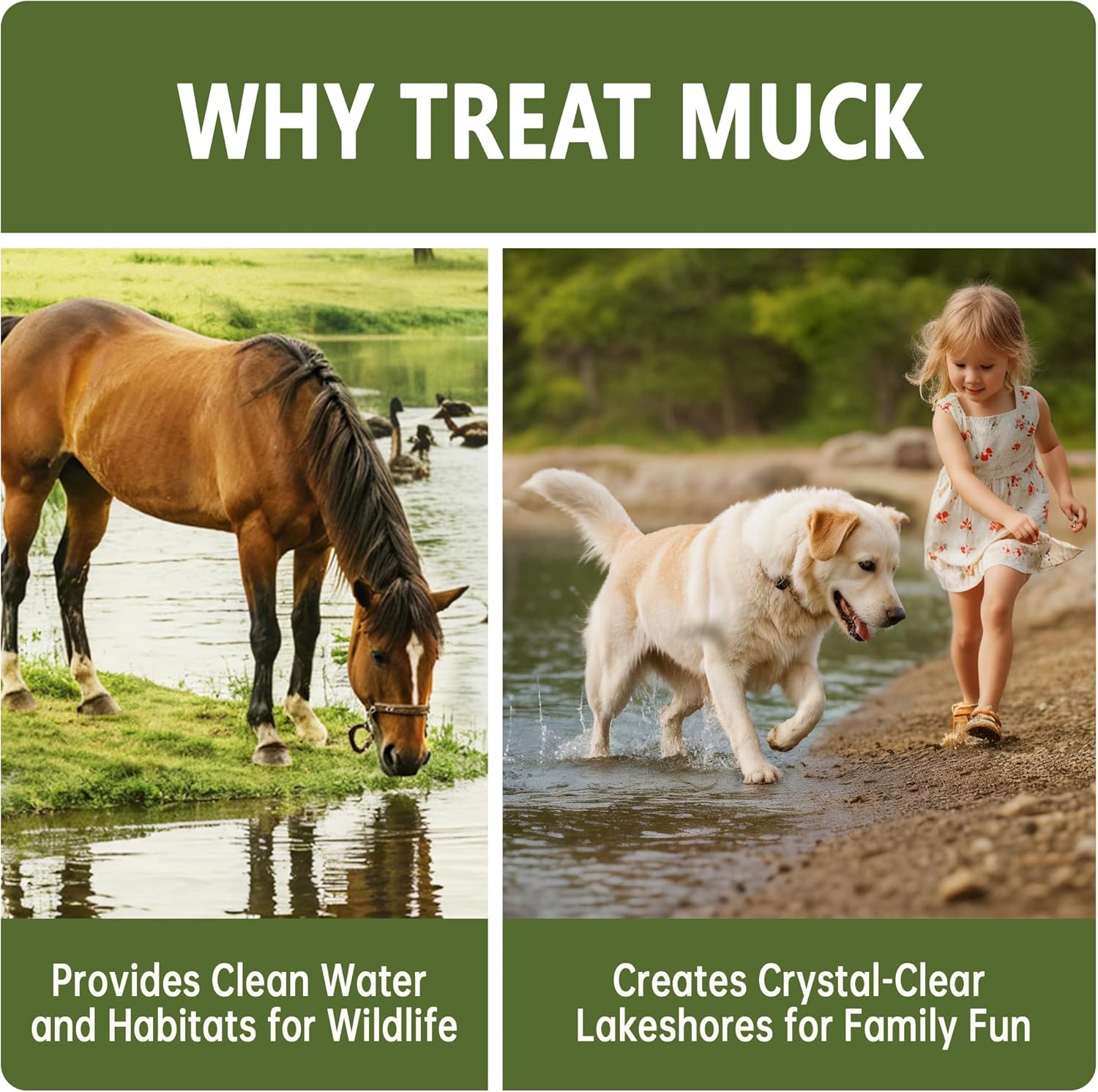 Natural Muck and Sludge Solution Tablets - Safe for Aquatic Life, Wildlife & Recreation