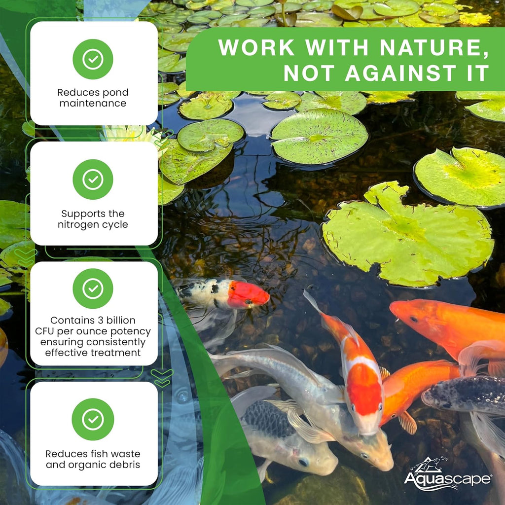 Aquascape Beneficial Bacteria Concentrate for Pond and Water Features, 1.1-Pound, 98949