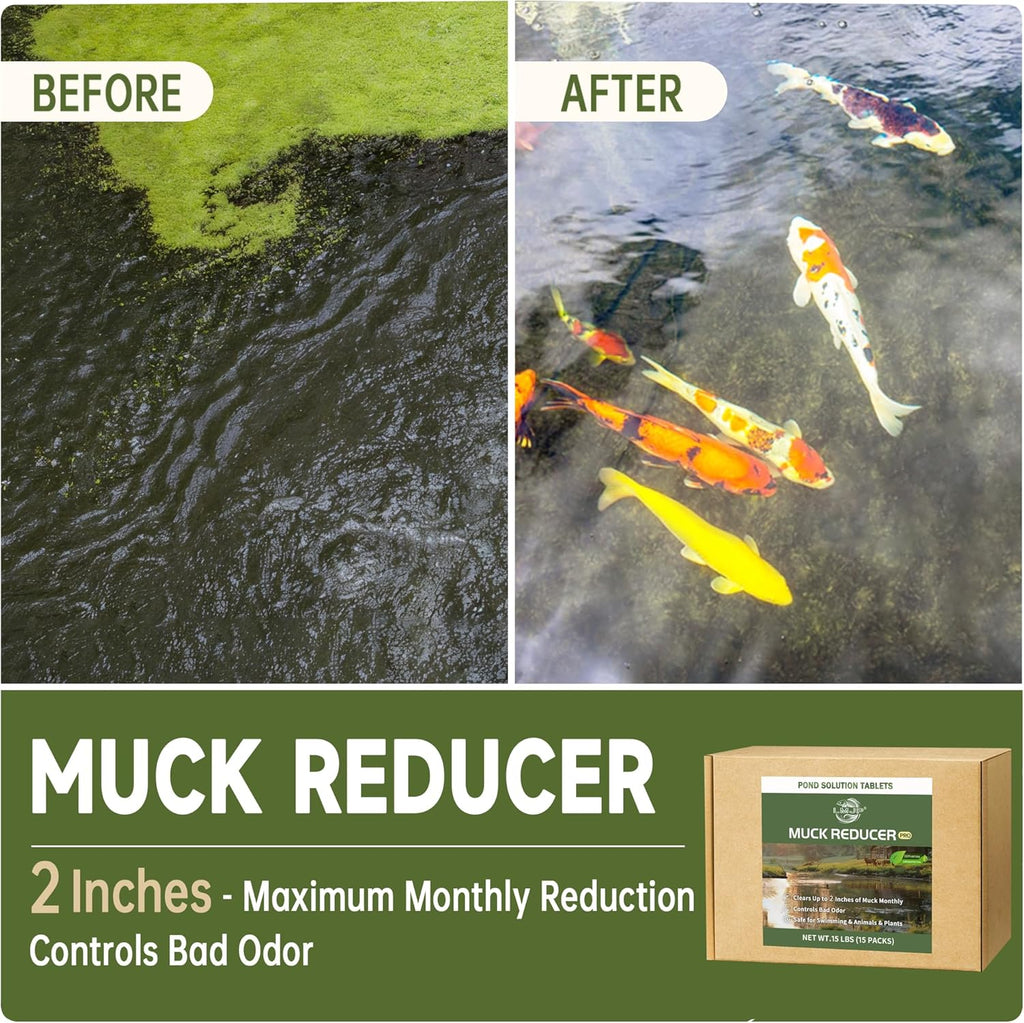 Natural Muck and Sludge Solution Tablets - Safe for Aquatic Life, Wildlife & Recreation