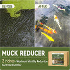 Natural Muck and Sludge Solution Tablets - Safe for Aquatic Life, Wildlife & Recreation