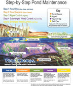 Blue Lake and Pond Dye - One Gallon of Professional Lake & Pond Dye - Treats Up to 1 Acre - Royal Blue Color - Safe for Fish, Wildlife, Pets & Children