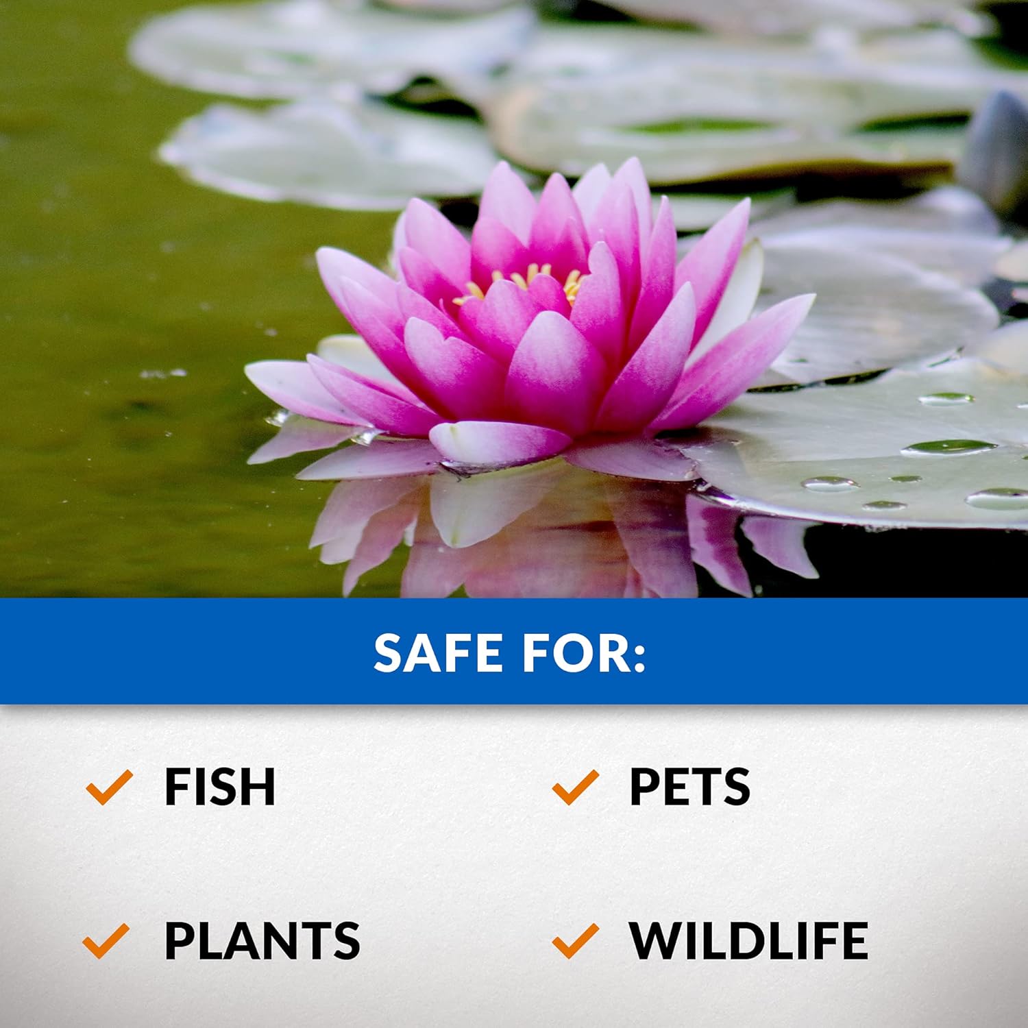 CrystalClear Algae D-Solv Pond Algae Control, Fast-Acting EPA Registered Algaecide, Use in Fountains & Outdoor Ponds Containing Koi & Other Fish, Treats 5,760 Gallons, 16 Ounces