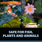 CrystalClear Barley Extract Pond Treatment – Natural Water Clarifier for Fountains, Water Gardens & Koi Ponds, Clears Cloudiness, Fish & Plant Safe, 16 Ounces