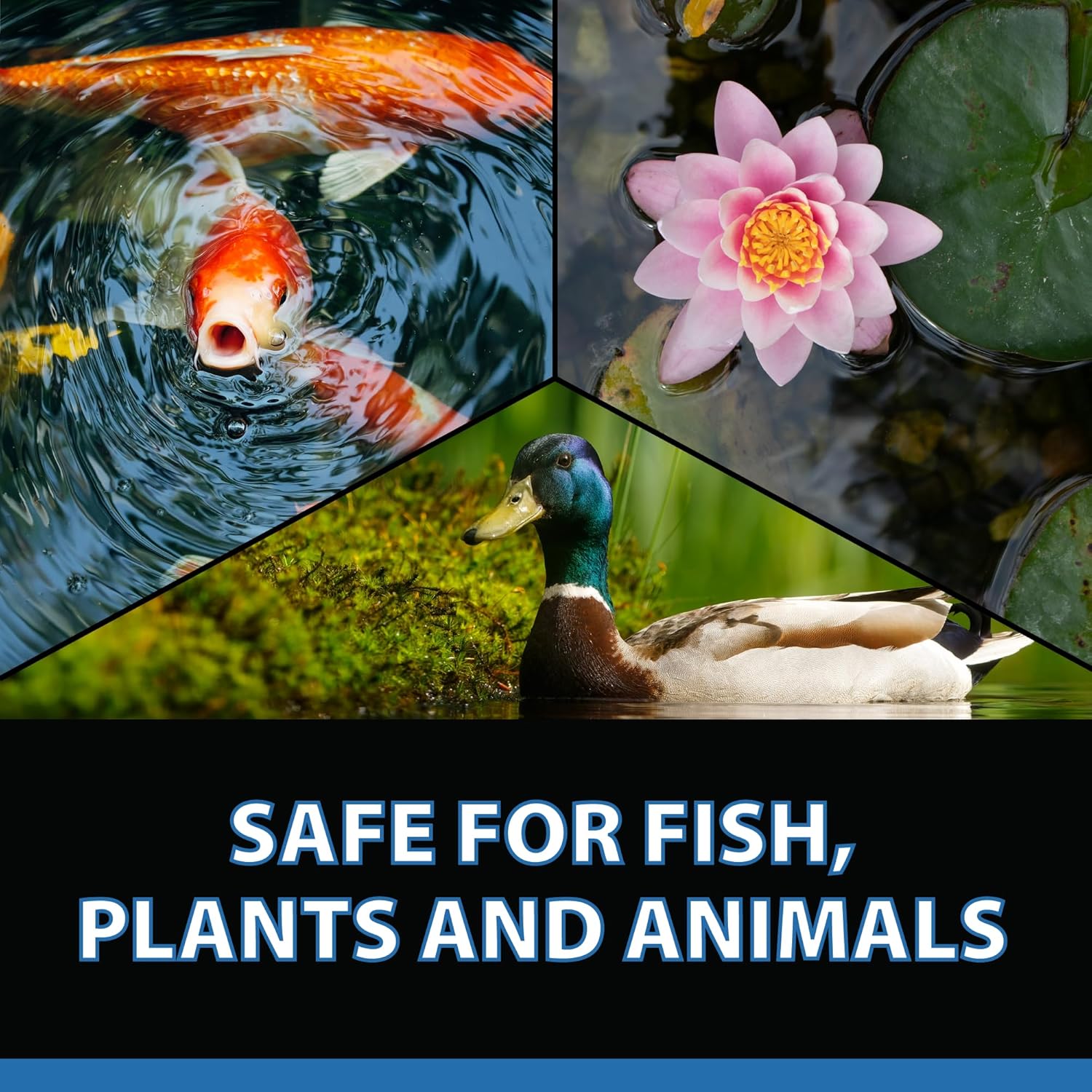 CrystalClear Barley Extract Pond Treatment – Natural Water Clarifier for Fountains, Water Gardens & Koi Ponds, Clears Cloudiness, Fish & Plant Safe, 16 Ounces