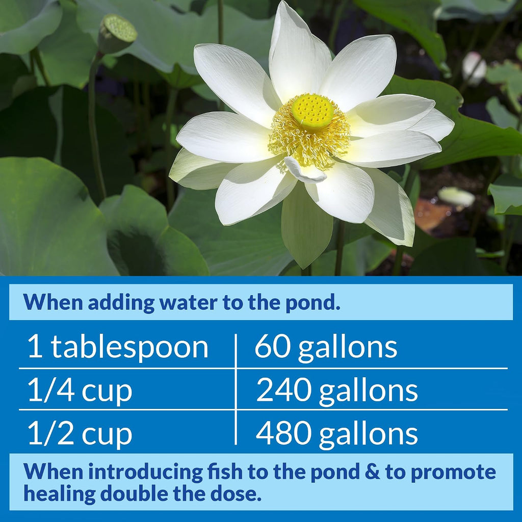 API POND STRESS COAT (32 fl oz) Pond Water Conditioner - Quickly Makes Tap Water Safe for Fish & Plants - Up to 3840 Gallons - Removes Chlorine, Ammonia & More - Aloe Vera - Natural Active Ingredient