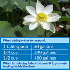 API POND STRESS COAT (32 fl oz) Pond Water Conditioner - Quickly Makes Tap Water Safe for Fish & Plants - Up to 3840 Gallons - Removes Chlorine, Ammonia & More - Aloe Vera - Natural Active Ingredient