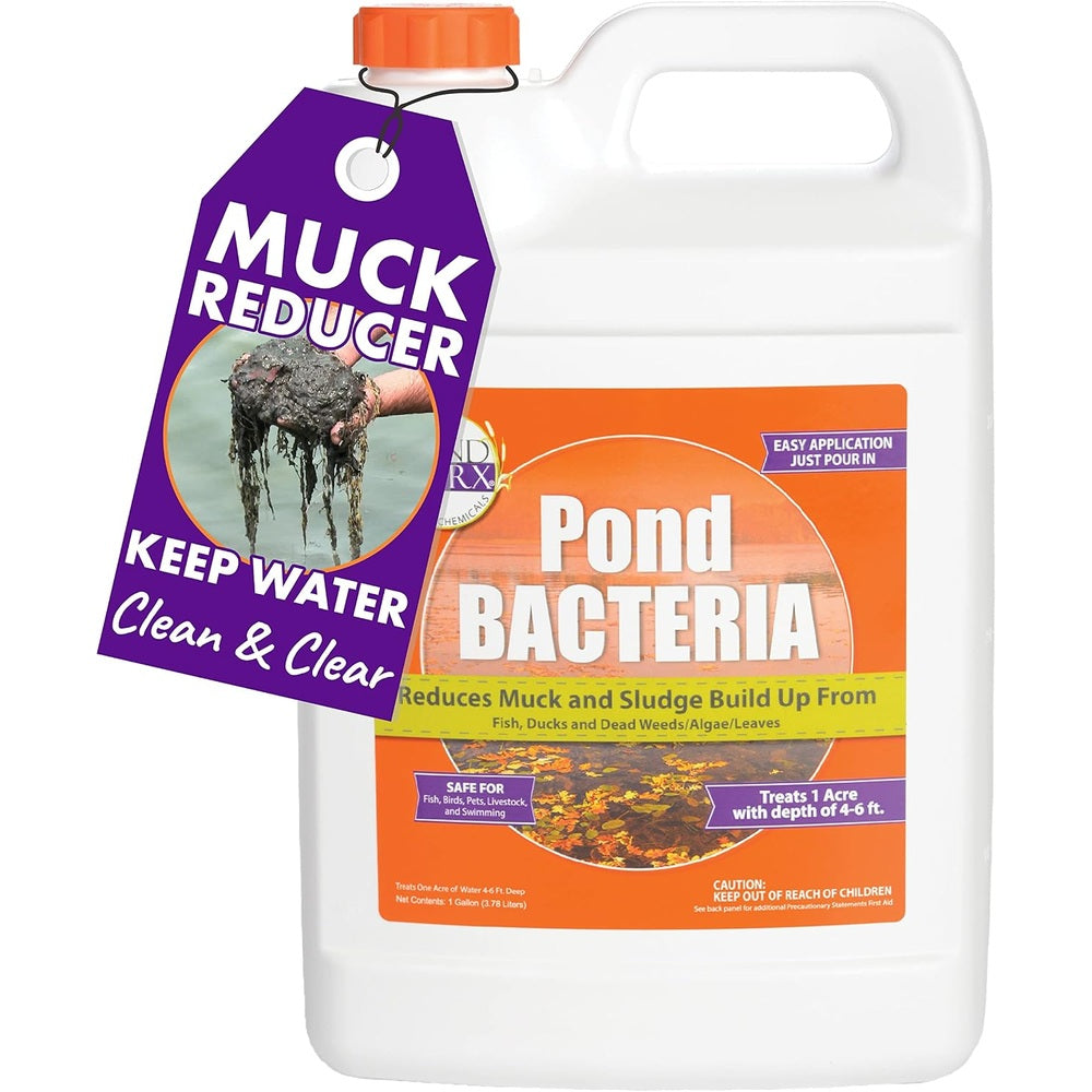 PondWorx Pond Bacteria - Formulated for Large Ponds, Water Features and Safe for Koi - Gallon