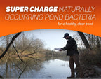 Crystal Blue Natural Pond Cleaner - Muck and Sludge Remover, Safe for Koi - 1 Gallon