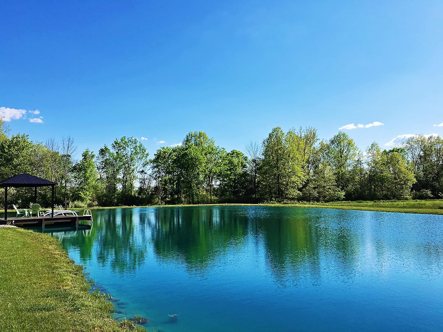Pond Worx Blue Lake and Pond Dye - 4X Concentrated Liquid Pond Colorant - Treats up to 1 Acre - 1 Quart