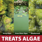 The Pond Guy InstaFix Algae Control, Outdoor Water Garden, Fountain & Birdbath Algae Solution, EPA Registered Liquid Algaecide, Control Green Water & String Algae, Bird, Fish & Pet Safe, 16 Ounce