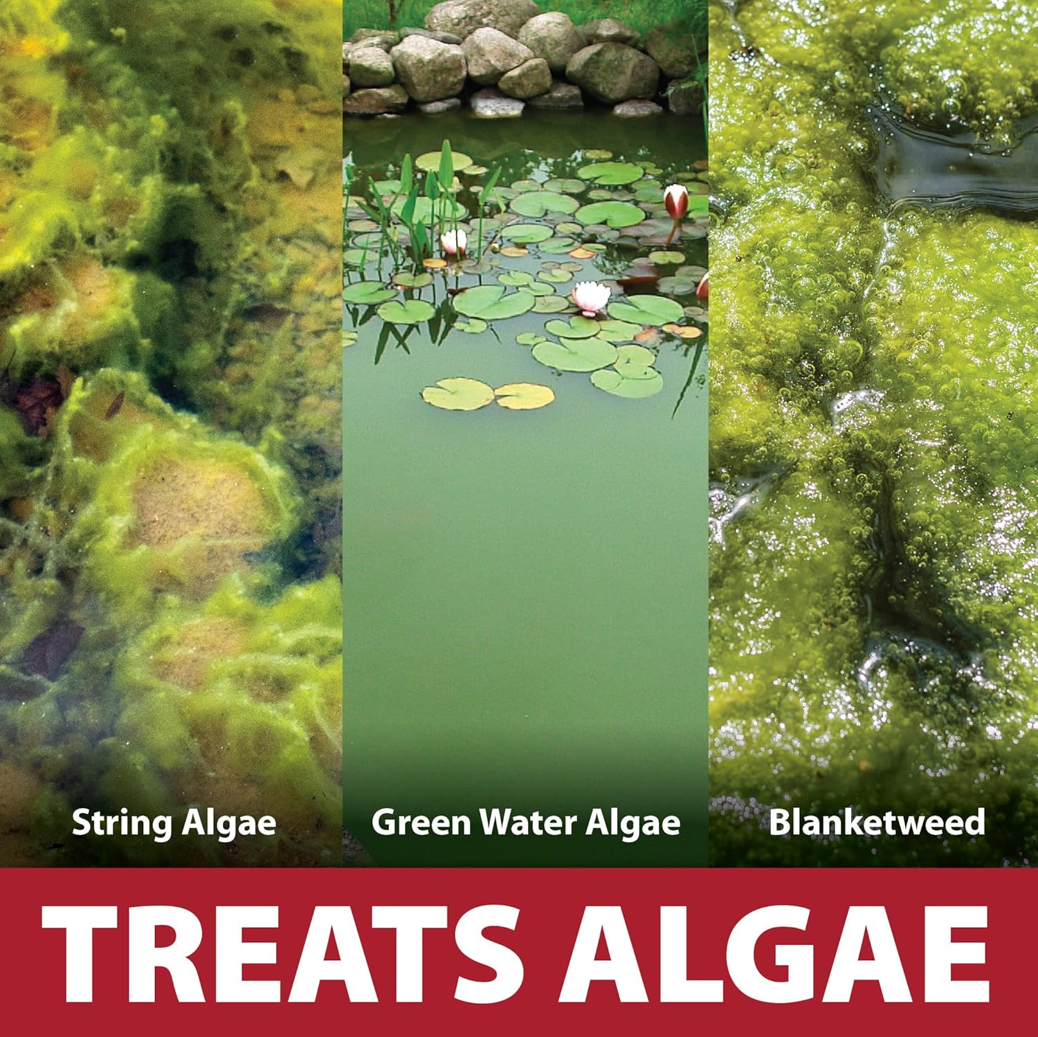 The Pond Guy InstaFix Algae Control, Outdoor Water Garden, Fountain & Birdbath Algae Solution, EPA Registered Liquid Algaecide, Control Green Water & String Algae, Bird, Fish & Pet Safe, 16 Ounce