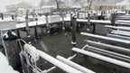 Scott Aerator: De-Icer | Dock De-Icer | Slinger De-Icer | Floating De-Icer | 115V | 230V