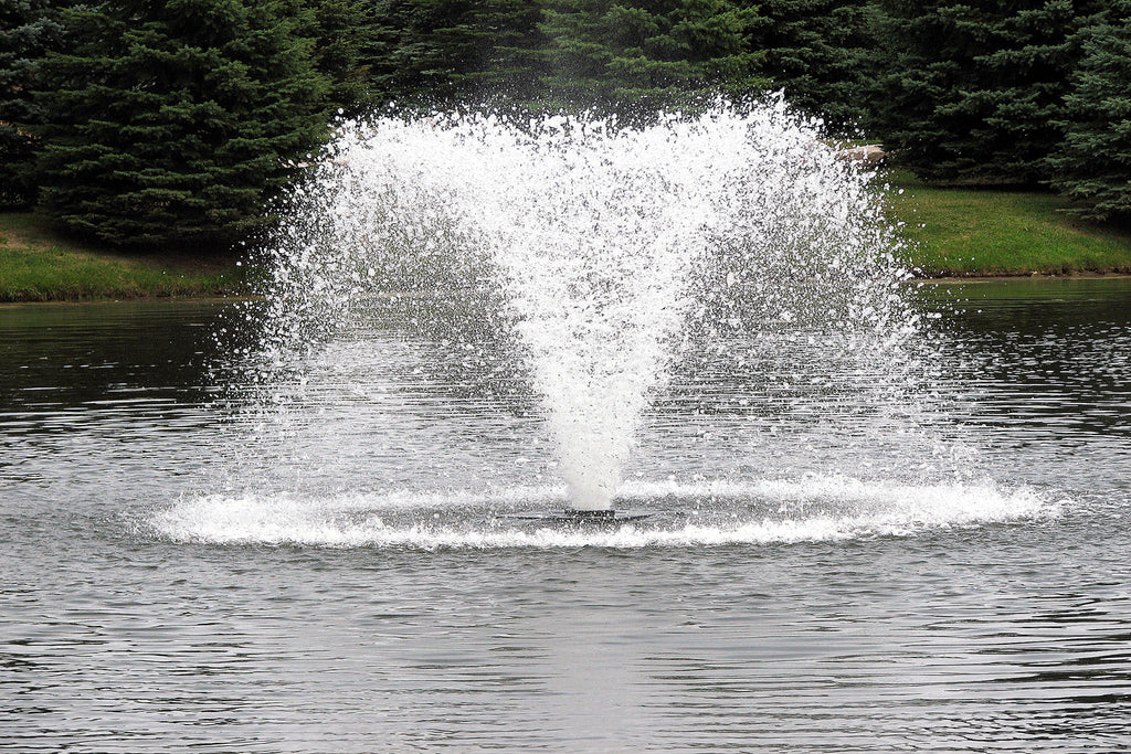 Scott Aerator: North Star Display Aerator