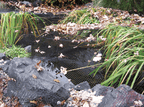 EasyPro:  Pond Cover Netting