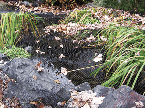EasyPro:  Pond Cover Netting