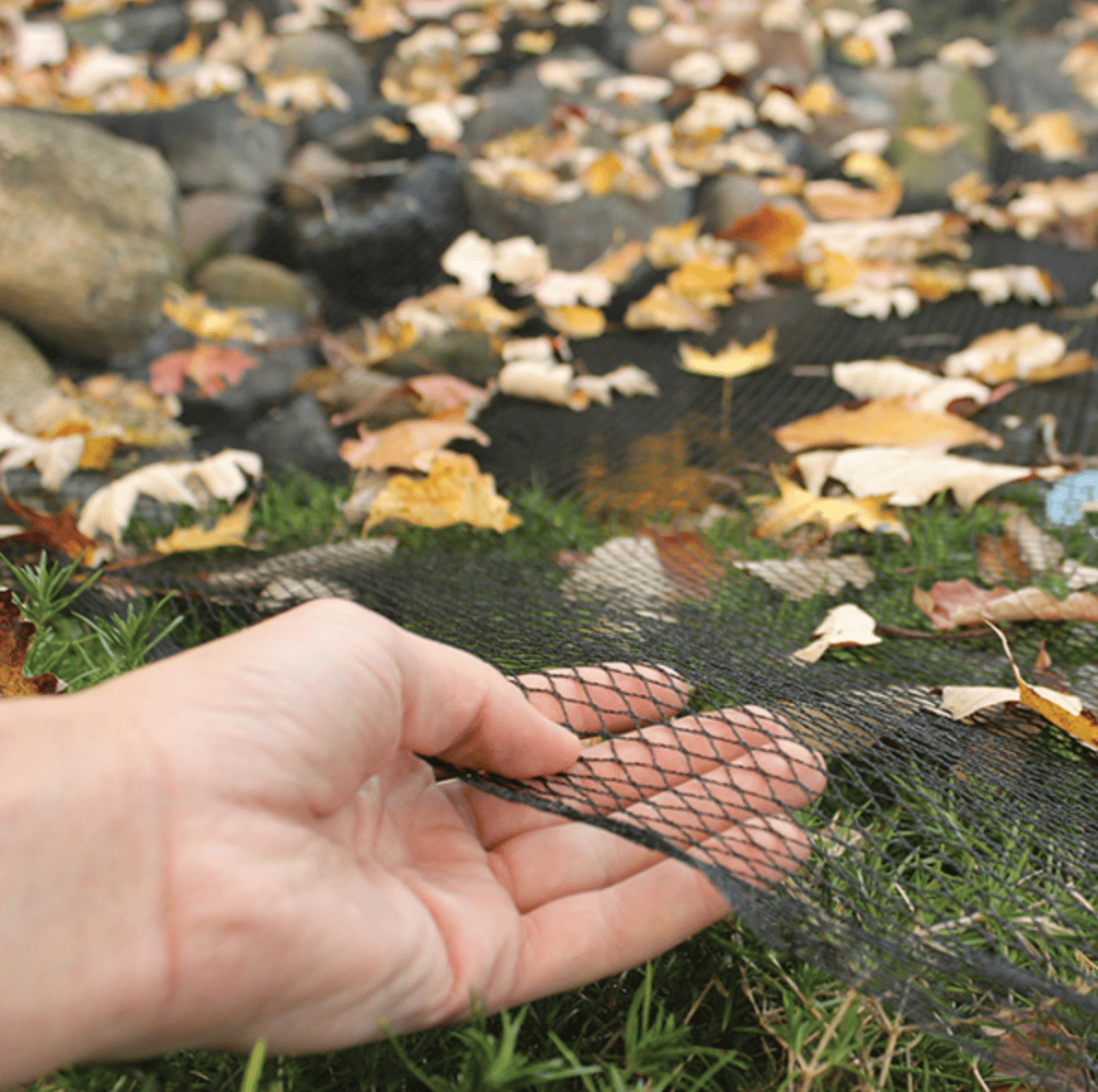 EasyPro:  Pond Cover Netting