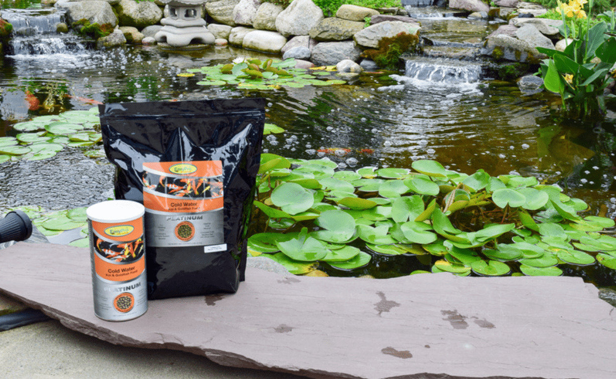 EasyPro: CWF1 Platinum Koi & Goldfish Food - Cold Weather Food - 20 oz. Canister