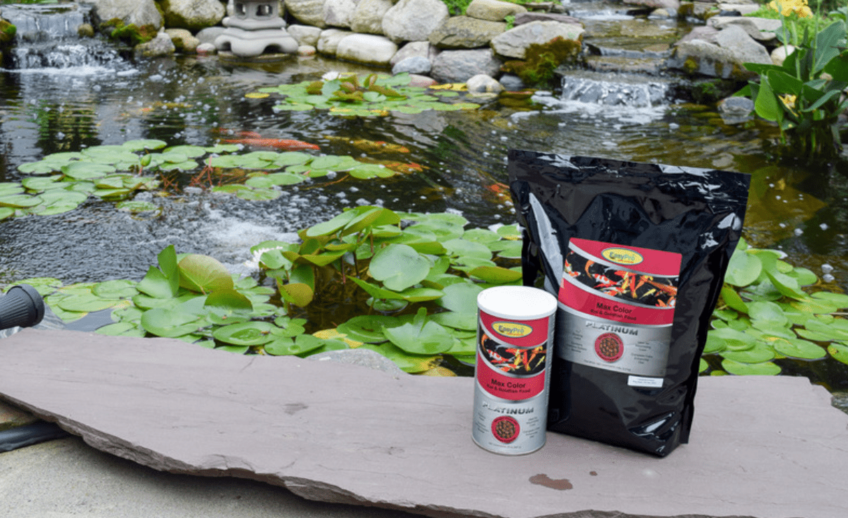 EasyPro: PC1 Platinum Koi & Goldfish Food - Max Color - 20oz Canister
