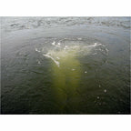 Scott Aerator: Bubble Pro Max Sub-Surface Aerator - Up to 3 Acres