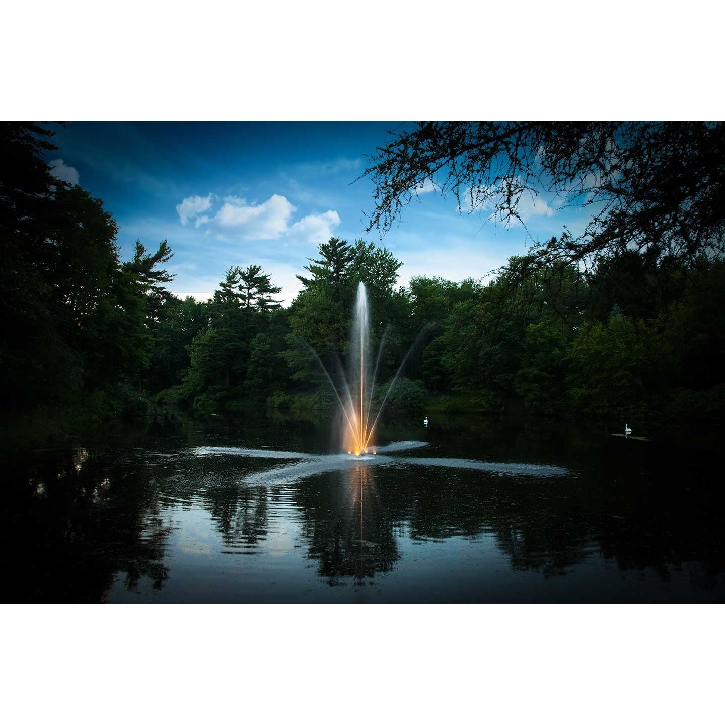 Scott Aerator: Night Glo; White LED Lights