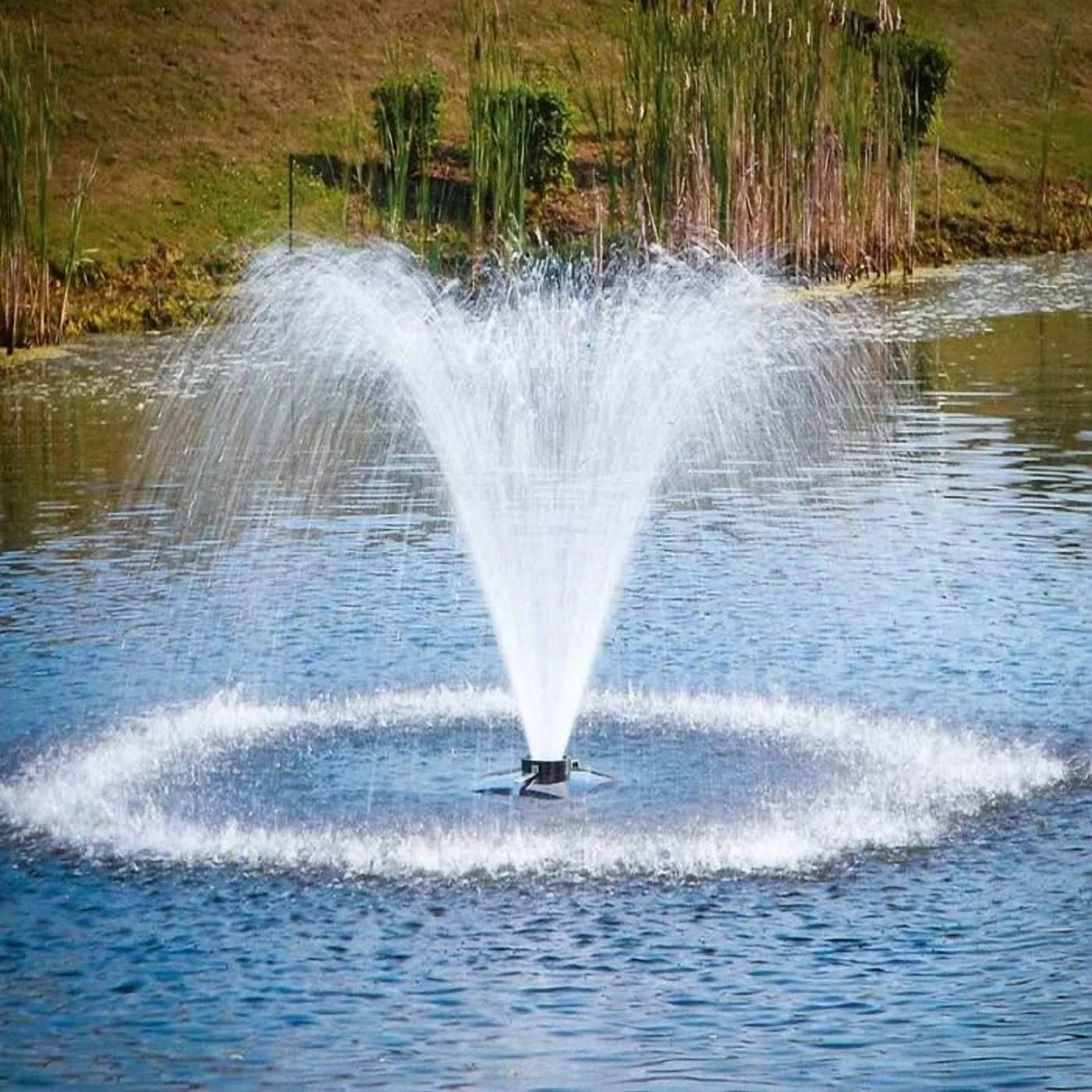 Scott Aerator: DA-20