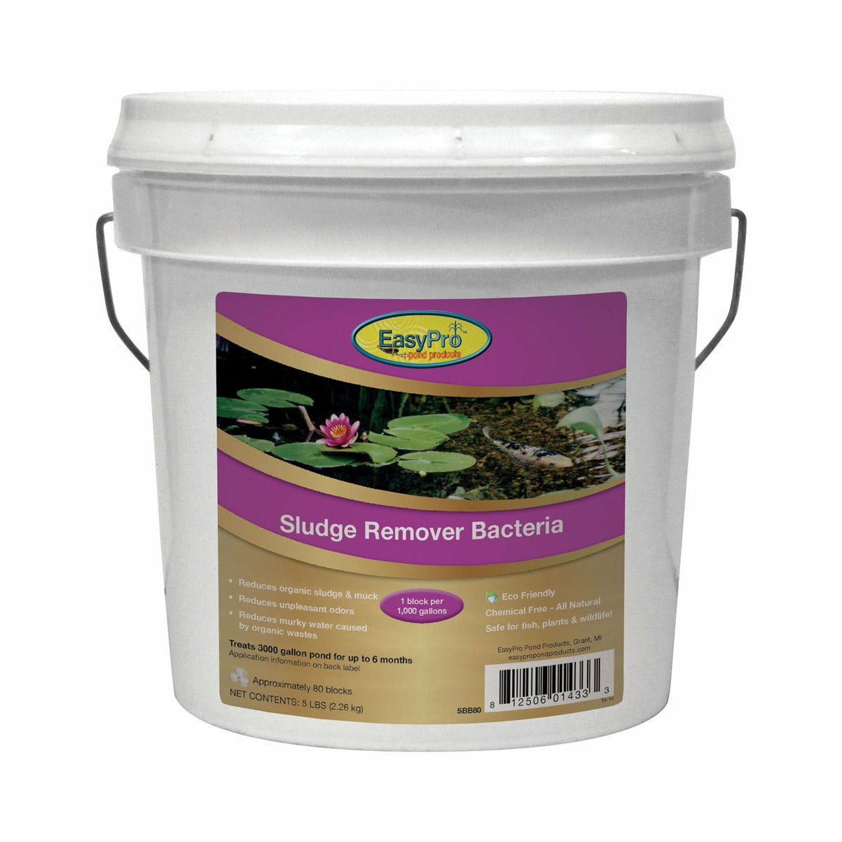 EasyPro: Sludge Remover Bacteria, 5 lb. Pail 1 oz. Blocks