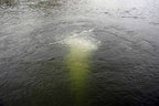 Scott Aerator: Solar Sub-Surface Aeration System